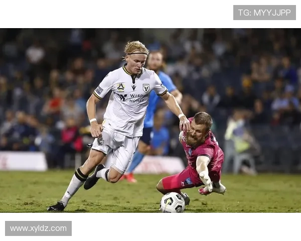 墨尔本胜利马塔受伤坚持比赛